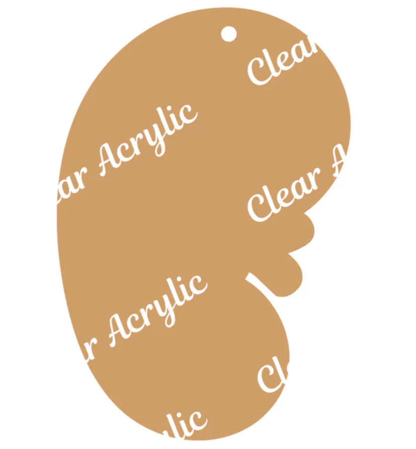 Kidney image 1