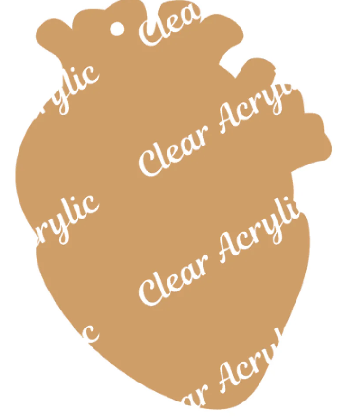 Anatomical Heart image 1